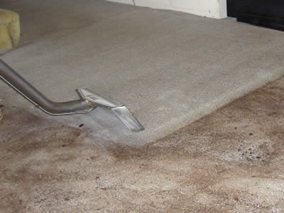 Carpet Cleaning 