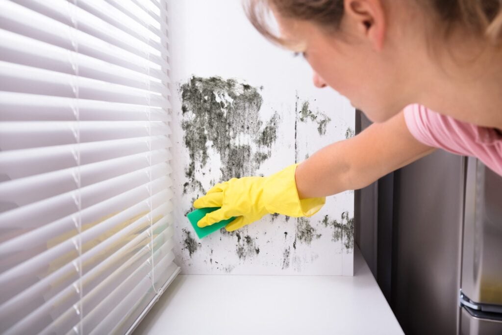 Close-up Of Woman Cleaning Mold or Mildew From Wall Using a Sponge