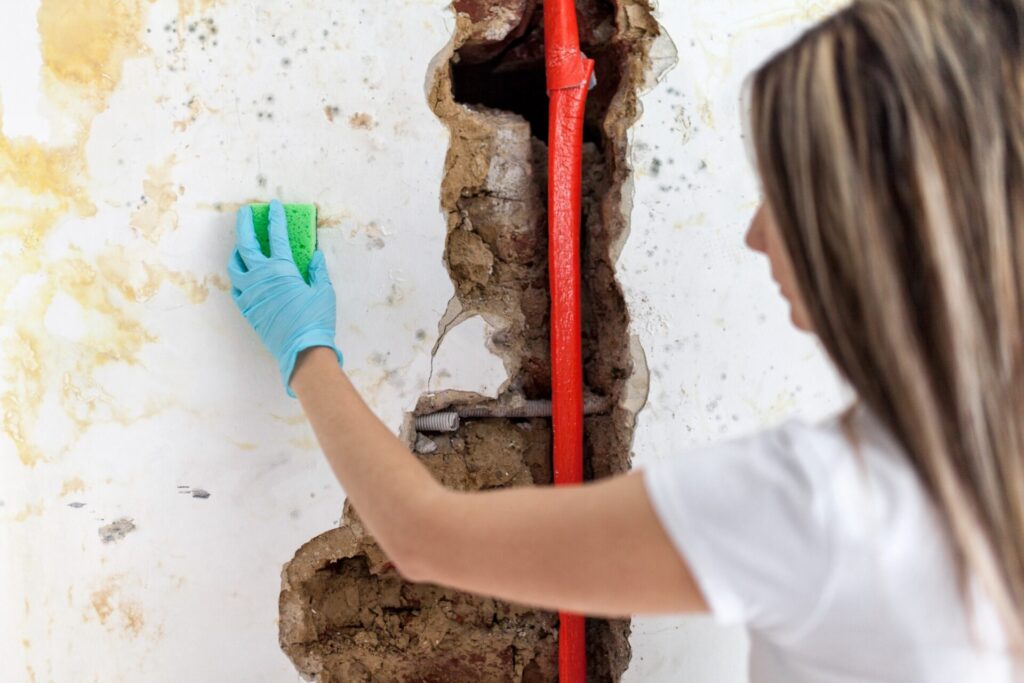 Cleaning up dangerous fungus from a wet wall after water pipe leak at home