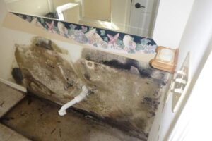 Mold Behind Bathroom Vanity