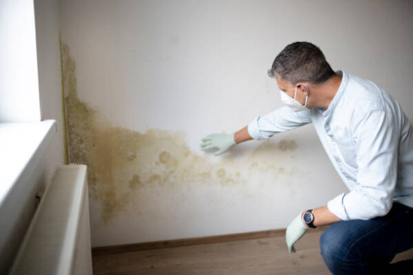 The Hidden Dangers of DIY Mold Removal